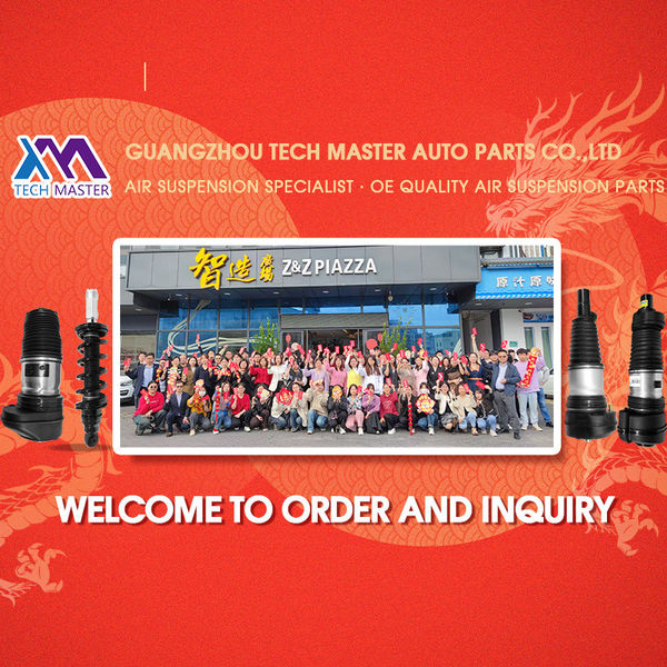 China Guangzhou Tech Master Auto Parts Co.Ltd Perfil de la compañía