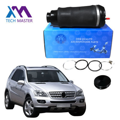 Mercedes Benz W164 Frente izquierda derecha Aire Primavera 2005-2011 1643206013