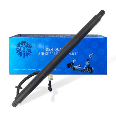 Puente trasero 51247318651 para BMW X6 F16 2015-2019 LH 1 enchufe