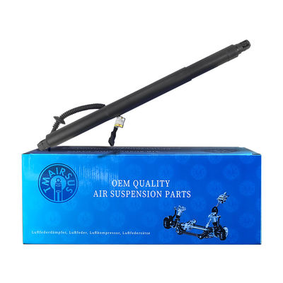 El soporte de la puerta trasera de la potencia duradera 51247318651 Para BMW X6 F16 2015-2019 Izquierda 1 enchufe