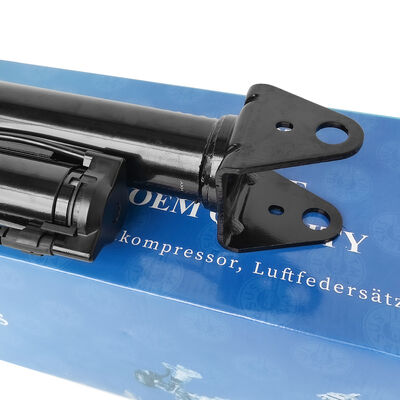 Sistema de gestión de la suspensión de aire con absorbentes de choque neumáticos Ben-Z W251/R300