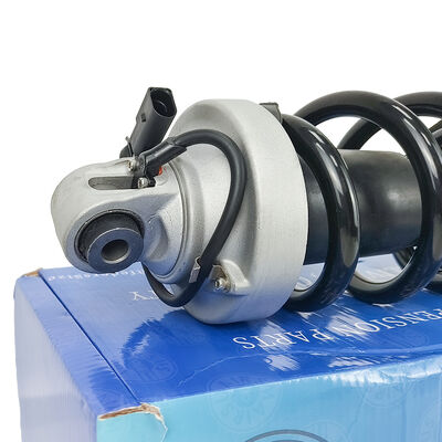 Suspensión neumática delantera izquierda con anuncios para Au-Di R8 420412019AG