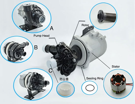 estructura eléctrica automotriz de la bomba de agua