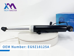 Técnico Master Lincoln MKT Absorbedor de choques trasero izquierdo con ADS DE9Z18125J, DE9Z18125B, DE9Z18125G