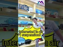Tech Master = Tu fuente profesional de fábrica de amortiguadores de suspensión neumática