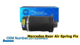 Muelle neumático trasero Mercedes-Benz W251/R350 R500